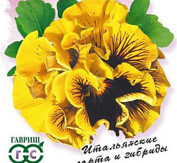 Виола Фламенко желтая F1