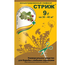 Стриж, 9 г