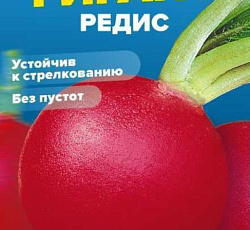Редис Сибирский гигант