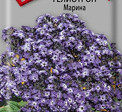 Гелиотроп Марина