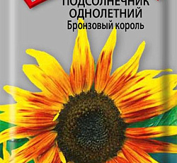 Подсолнечник Бронзовый король