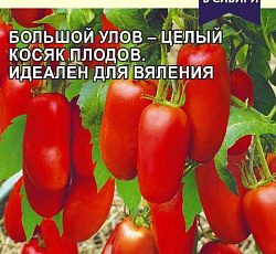 Томат Стерлядь