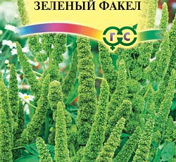 Амарант Зеленый факел