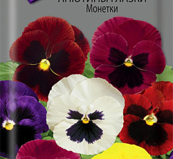 Анютины глазки Монетки