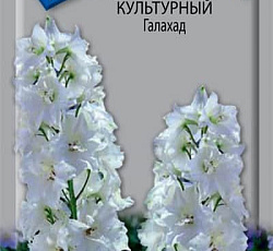 Дельфиниум культурный Галахад