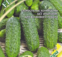 Огурец Хасбулат F1