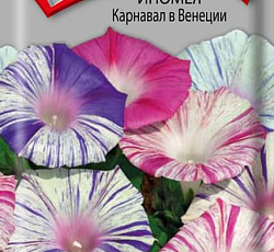 Ипомея Карнавал в Венеции