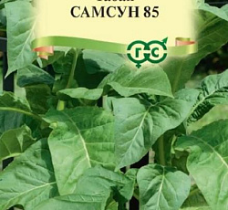 Табак Самсун 85 (курительный)