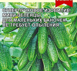 Огурец Корюшка F1