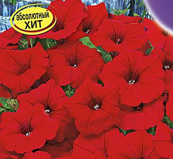 Петуния Водопадия красная F1 (многоцветковая)