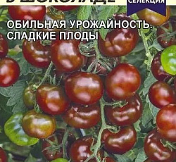 Томат Вишня в шоколаде