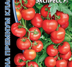 Томат Уральский экспресс F1