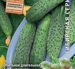 Огурец Шустрец-молодец F1