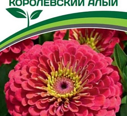 Цинния георгиновидная "Фэнтези" F1 Королевский Алый