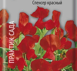 Душистый горошек Спенсер красный