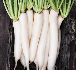 Дайкон Цезарь