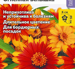 Цинния Захара Огненная вспышка