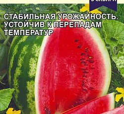 Арбуз Мелитопольский