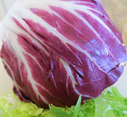 Салат цикорный Пала Росса (кочанный)