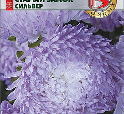 Астра китайская Старый замок селект Сильвер