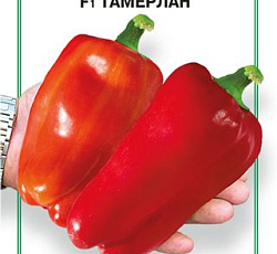 Перец сладкий Тамерлан F1