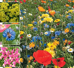 Газон цветущий "ДЕЗЕРТ", 120 г