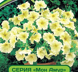 Петуния Мон Амур Аннет F1 многоцветковая прямостоячая