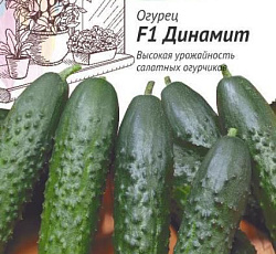 Огурец Динамит F1