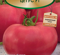 Томат Цетус F1