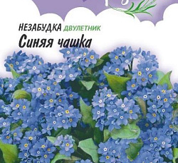 Незабудка Синяя чашка