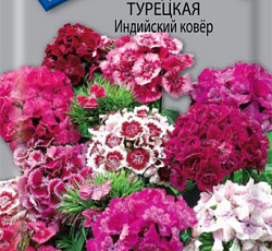 Гвоздика турецкая Индийский ковер