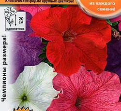 Петуния Русский размер Смесь