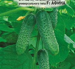 Огурец Афина F1
