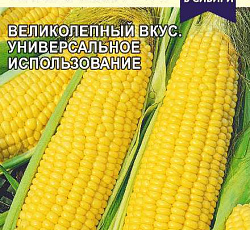 Кукуруза Кубанский сахарный 210