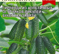 Огурец Ребята-пикулята F1