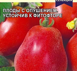 Томат Молодчина