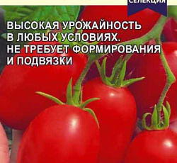 Томат Марочка