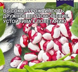 Фасоль овощная Красная Шапочка