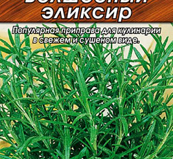 Розмарин лекарственный Волшебный эликсир