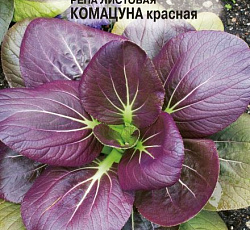 Репа листовая Комацуна красная