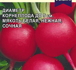 Редис Ризенбуттер