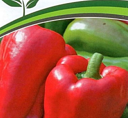 Перец сладкий Партнер F1