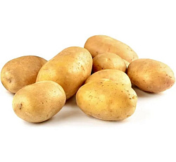 Картофель Удача (СУПЕР ЭЛИТА)