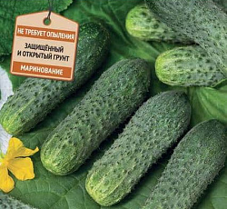 Огурец Экипаж F1