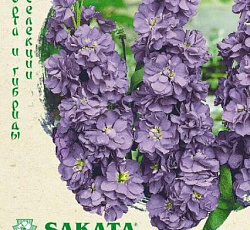 Левкой (маттиола) Айрон Морской