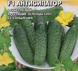 Огурец Антисипатор F1