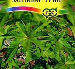 Клещевина Занзибар грин