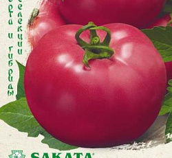 Томат Пинк Буш F1