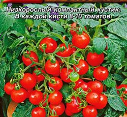 Томат Чудо на окошке