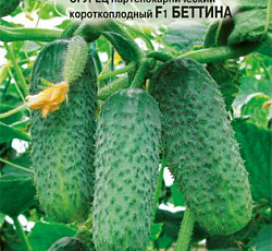 Огурец Беттина F1
